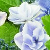 わたしの膝はランナー膝