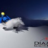 入荷情報　FRITSCHI  DIAMIR vipec12