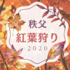 【休日のお出かけ】秩父に紅葉を見に行ってきました