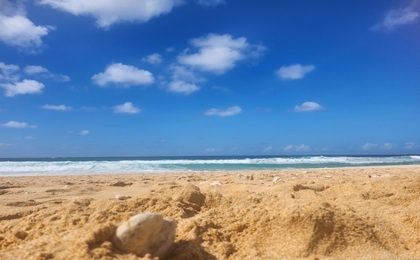 避紛地で花粉症から逃れよう！当事者が語るストレスフリーのおすすめの地域”10選”