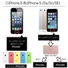 iPhone 機種の見分け方 をご紹介！（ iPhone５ / iPhone6 / iPhone7 / iPhone８ 編)