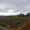 神原町花の会（花美原会）(238)     雨の降る日もあれば天気の日もある