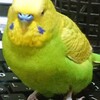 ６月１８日の相場を見てみたよ　チュン