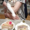 人間のお誕生日祝い、、、に付き合ってくれた猫