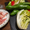 今日のごはん：レコルトの卓上グリルで野菜をたくさん食べるおうちバル！