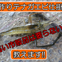 テナガエビ 簡単テナガエビ 手長エビ 釣りのススメ 神戸 明石のファミリーフィッシング奮闘記 関西の釣りをもっと手軽に楽しむ テナガエビ 簡単テナガエビ 手長エビ 釣りのススメ 神戸 明石のファミリーフィッシング奮闘記 関西の釣りをもっと手軽に楽しむ