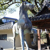 京都・洛南　勝運・学問と馬の神社～藤森神社～