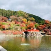 レンタカーで紅葉の地へ