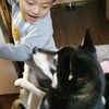 ぼくは三番目の犬になりたい見習いの願い👦