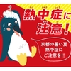 涼しさ満点！暑さを忘れさせる京都の涼感動画まとめ🌬️