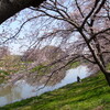 さよならの朝に約束の花をかざろう