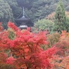 週末の紅葉の見頃はここ！関東編・・・