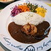 栄養たっぷりのもうやんカレー、満を持して下北沢に上陸