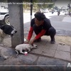 ケガをした子犬の救助をとらえた動画が1ヵ月で2,400万再生　子犬の回復力と救助の努力に感動と敬意