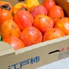 干柿　奈良の江戸柿