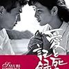 【映画脚本レビュー】シナリオ『愛と死の記録』を解題する