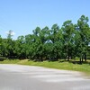 夏空の美しい公園散歩*.ﾟ+.ﾟ*『三橋総合公園』#6*.ﾟ+(^-^)*.ﾟ +.ﾟ*