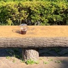 今日のモーニングショット