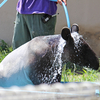 2018/08/26 東武動物公園