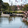 2026-03-18 二郎系