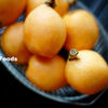 旬の果物「駿州枇杷」