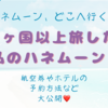 ハネムーン、どこへ行く⁉️20ヶ国以上旅した私のハネムーンの行き先や航空券やホテルの選び方を紹介！