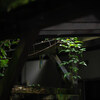 Fragment #14