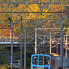 近江鉄道 2023　11/21-22
