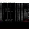 ラズパイを終夜運転する他、ラズパイでも使えるLinuxの基本コマンド