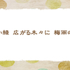 梅雨明け【晩夏の俳句】