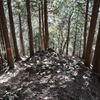【登山】2024.11/23＿鈴鹿山脈／竜ヶ岳（中道⇒遠足尾根）②山頂～下山