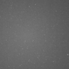 岩本彗星　C/2013 E2(Iwamoto) どれかな？