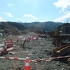  陸前高田合宿レポート (5)〜エゾイシカゲ貝と気仙茶