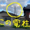 網干の古民家で、伐採被害に遭ったジューンベリー。その補償交渉で、何とか決着。