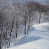 霧氷の木々や雪庇を眺めながら下りました