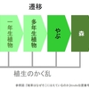 雑草は強くて弱い　【書籍：雑草はなぜそこに生えているのか】