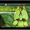 Kazuo UNNO's WORLD BUGS