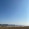 冬はつとめて。