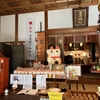 Exploring the Enchanting Oji Shrine: A Cat Lover's Paradise (Tokushima, Japan)