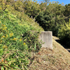 西ノ池（和歌山県岩出）