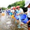 つくば、桜川にフナ稚魚放流。小学生「大きく育って」