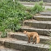 53/100 Day-2 襟裳岬から十勝川温泉