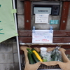 今日も雨