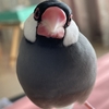 オリンピック
