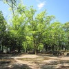 滝山公園（東京都東久留米市）