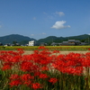 彼岸の中日