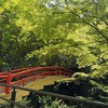 母の喜寿お祝い旅行③