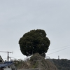 神武天皇聖蹟地、船山城跡地に行ってきました。