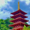 アジサイ・・