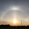 陽・猫・雲・花 そして実朝